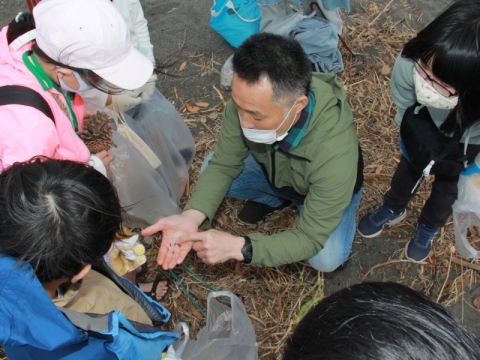 海岸に落ちているごみの説明