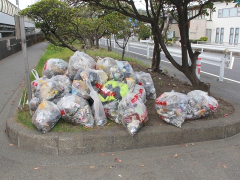 海岸のごみ