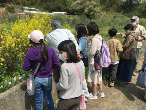 家庭菜園の現地写真