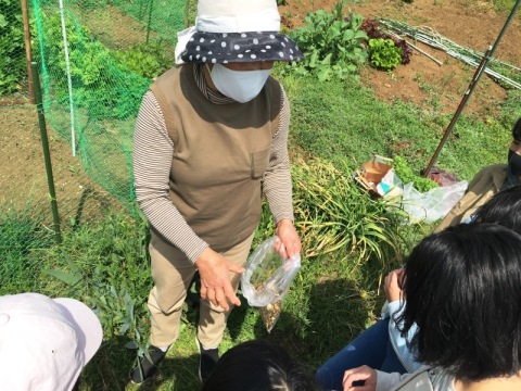 有機の会活動紹介