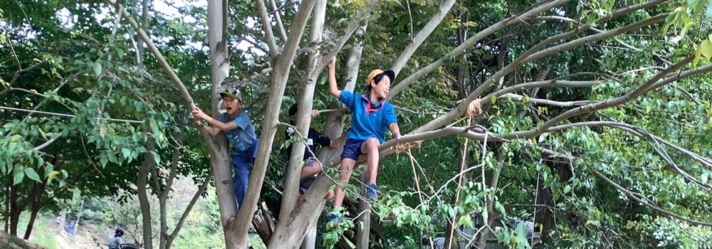 木登りをする子どもたち