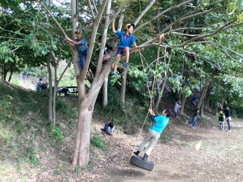 木登りをして遊ぶ子どもたち