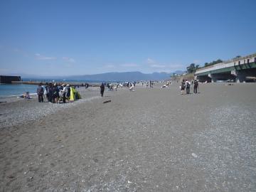 海岸清掃の様子3