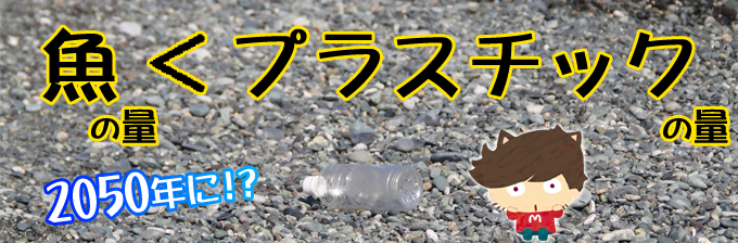 魚＞プラスチック