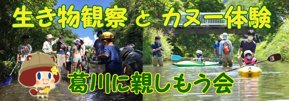 生き物観察とカヌー体験バナー