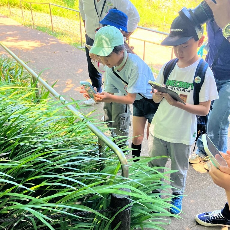 生き物調査隊写真4