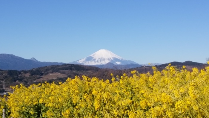 吾妻山山頂風景