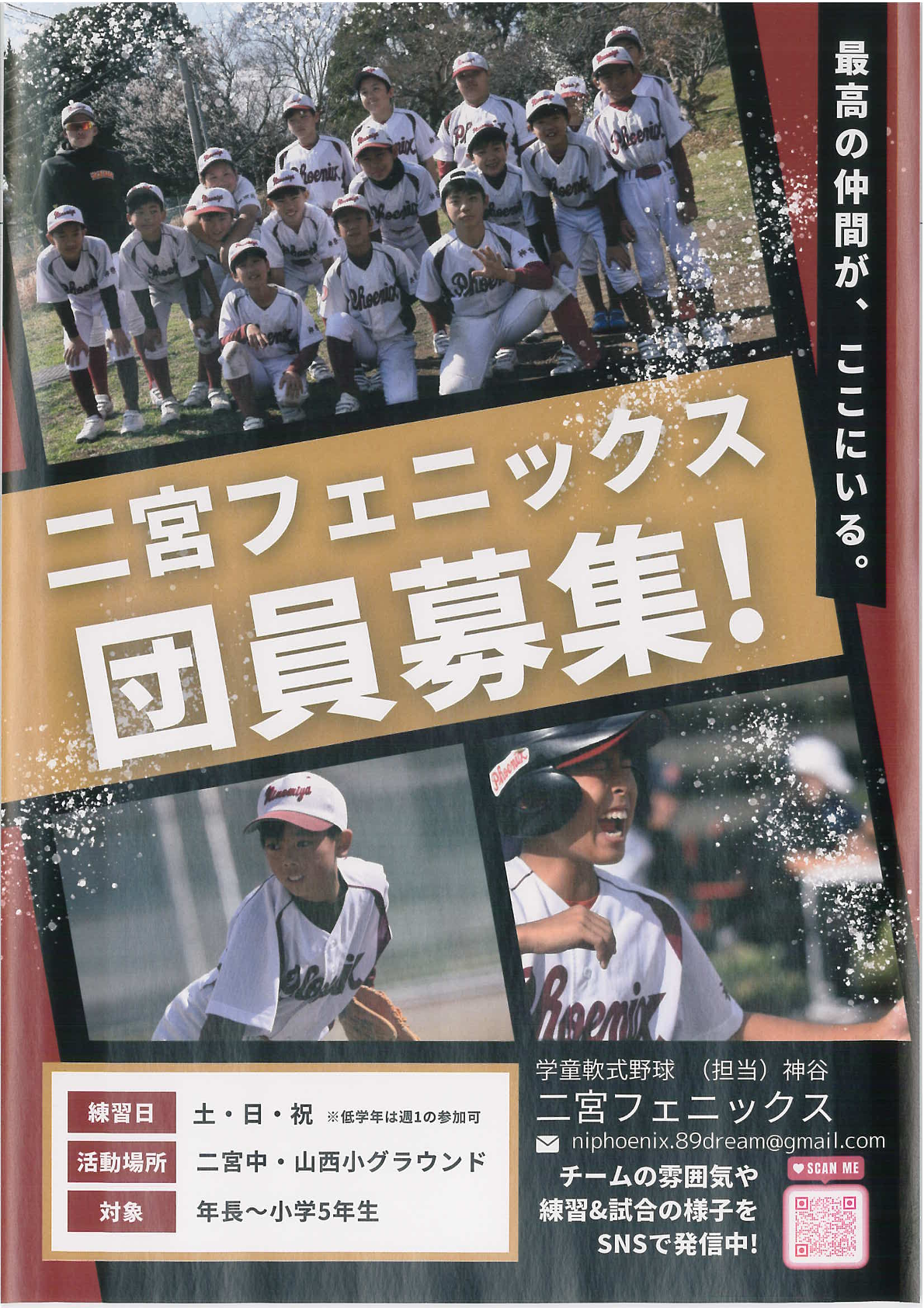 二宮フェニックス団員募集