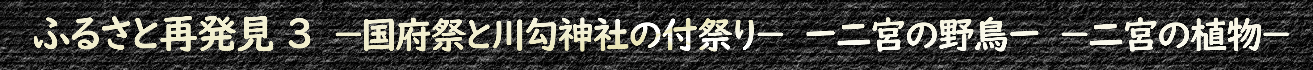 ふるさと再発見3 ー国府祭と川勾神社の付祭りー ー二宮の野鳥ー ー二宮の植物ー